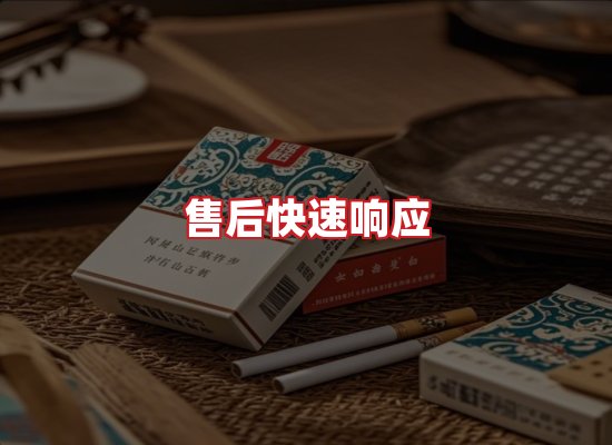 专业团队